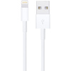Kabel Apple Lightning do USB-A 12W 2m Biały