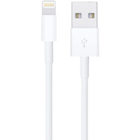 Oryginalny  Kabel Apple USB-A do Lightning 2m MD819ZM/A